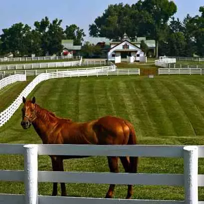 Calumet Farm image