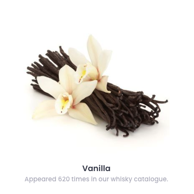 Flavor Spotlight: Vanilla